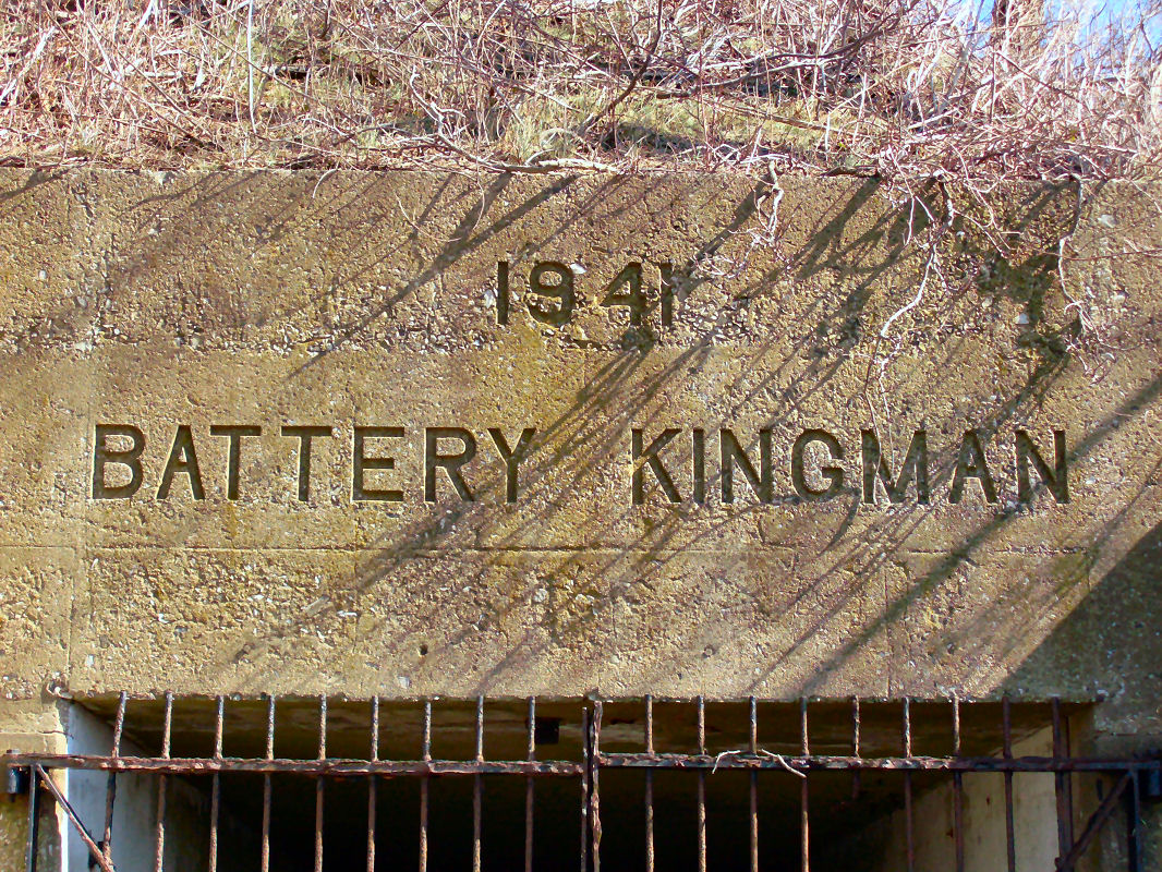 BatteryKingman2